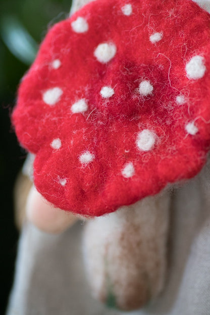 Mimblecap, the Toadstool Fairy! ✨🍄